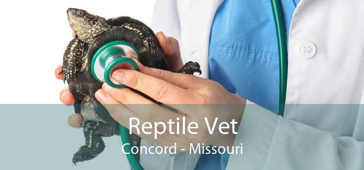 Reptile Vet Concord - Missouri