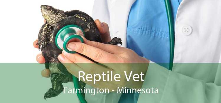 Reptile Vet Farmington - Minnesota