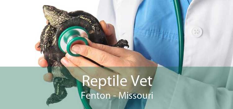 Reptile Vet Fenton - Missouri