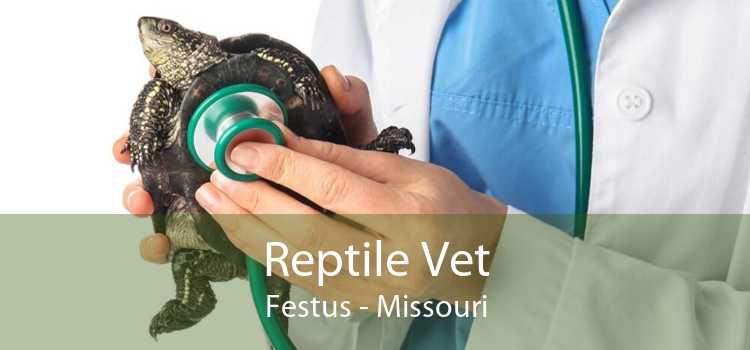 Reptile Vet Festus - Missouri