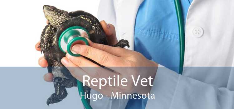 Reptile Vet Hugo - Minnesota