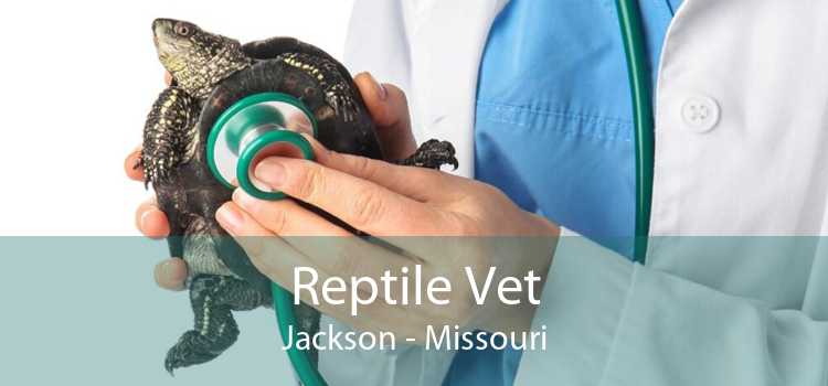 Reptile Vet Jackson - Missouri