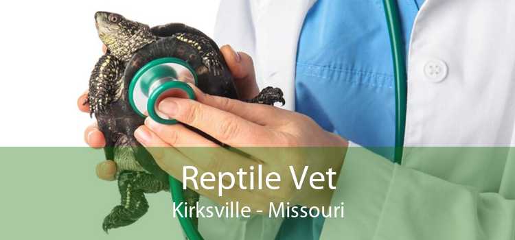 Reptile Vet Kirksville - Missouri