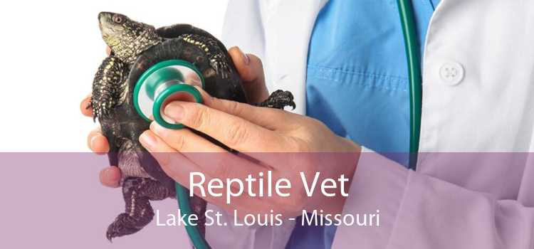 Reptile Vet Lake St. Louis - Missouri