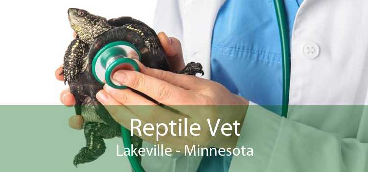 Reptile Vet Lakeville - Minnesota