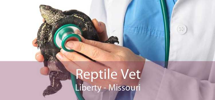 Reptile Vet Liberty - Missouri