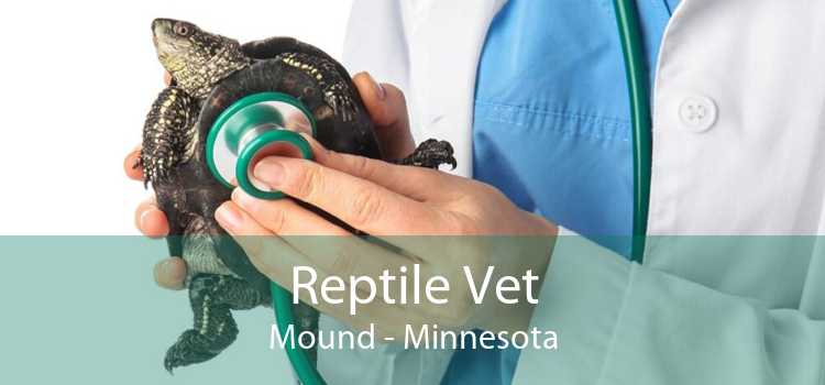 Reptile Vet Mound - Minnesota