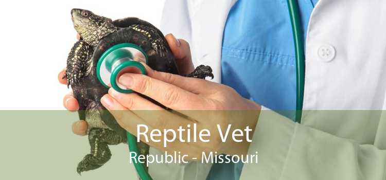 Reptile Vet Republic - Missouri