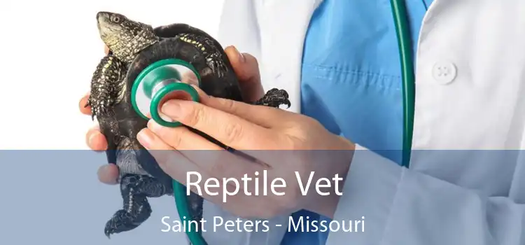Reptile Vet Saint Peters - Missouri