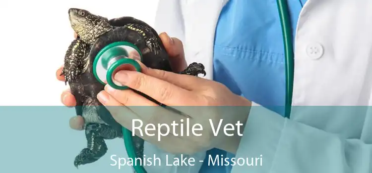 Reptile Vet Spanish Lake - Missouri