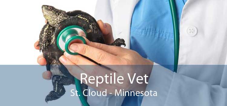 Reptile Vet St. Cloud - Minnesota