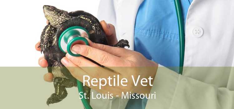 Reptile Vet St. Louis - Missouri