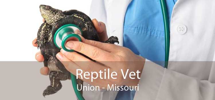 Reptile Vet Union - Missouri