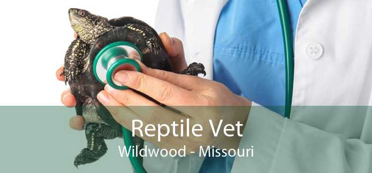 Reptile Vet Wildwood - Missouri