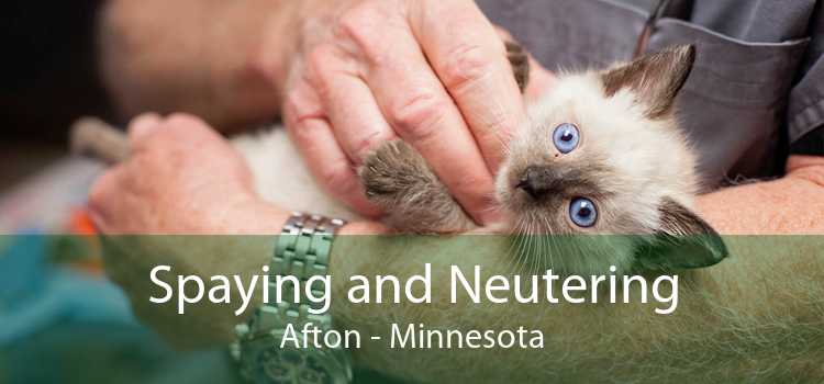 Spaying and Neutering Afton - Minnesota