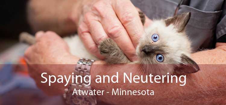 Spaying and Neutering Atwater - Minnesota