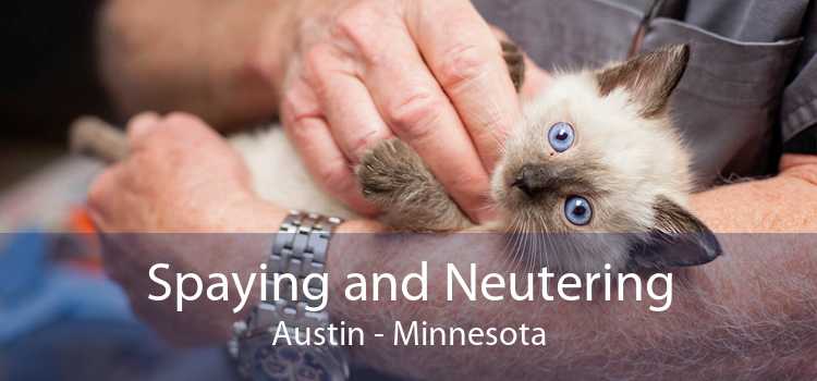 Spaying and Neutering Austin - Minnesota