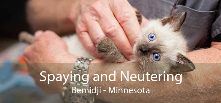 Spaying and Neutering Bemidji - Minnesota