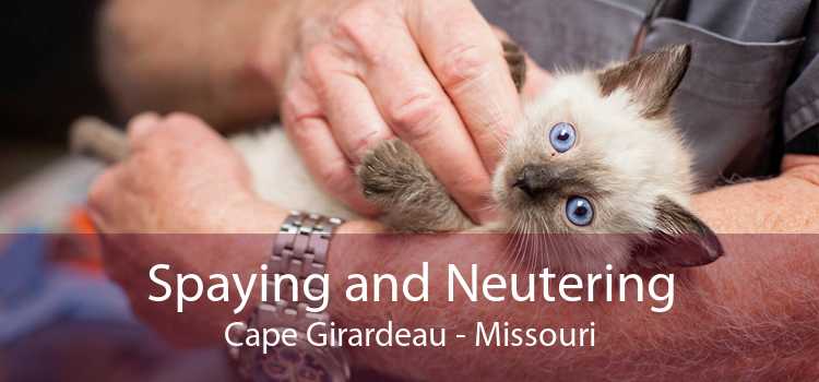 Spaying and Neutering Cape Girardeau - Missouri