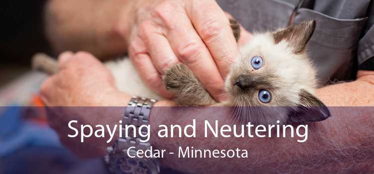 Spaying and Neutering Cedar - Minnesota