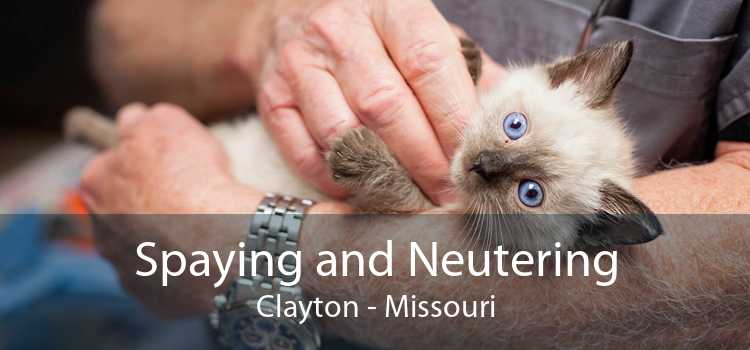 Spaying and Neutering Clayton - Missouri