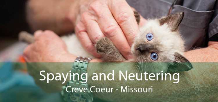Spaying and Neutering Creve Coeur - Missouri