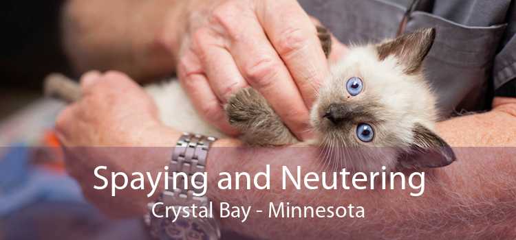 Spaying and Neutering Crystal Bay - Minnesota