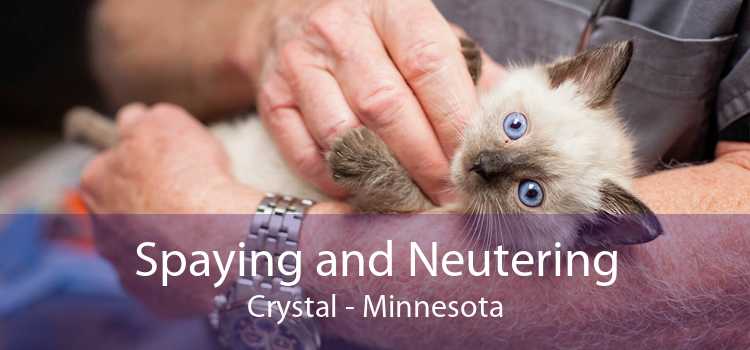 Spaying and Neutering Crystal - Minnesota