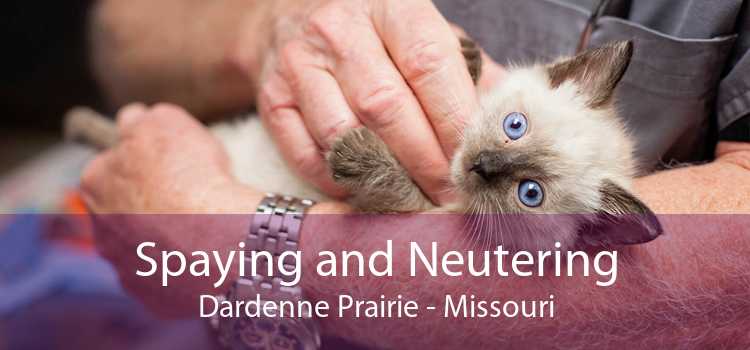 Spaying and Neutering Dardenne Prairie - Missouri