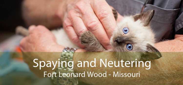Spaying and Neutering Fort Leonard Wood - Missouri