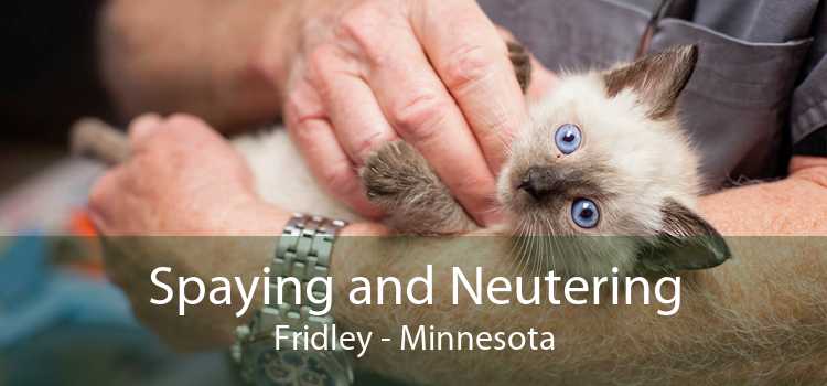 Spaying and Neutering Fridley - Minnesota