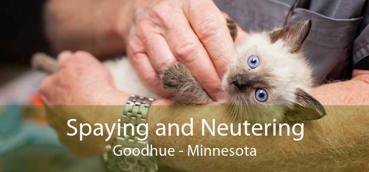 Spaying and Neutering Goodhue - Minnesota