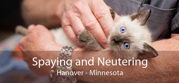 Spaying and Neutering Hanover - Minnesota