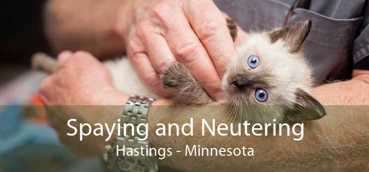 Spaying and Neutering Hastings - Minnesota
