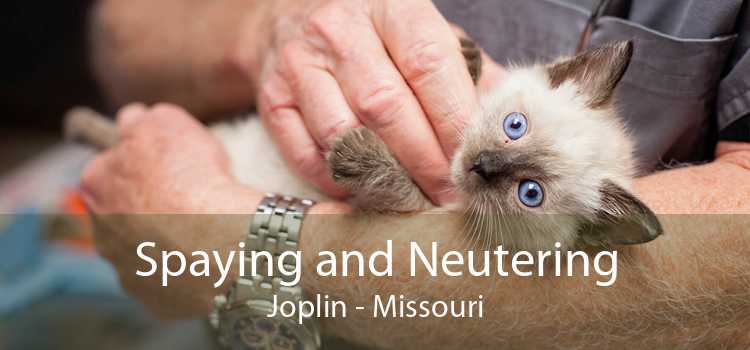 Spaying and Neutering Joplin - Missouri