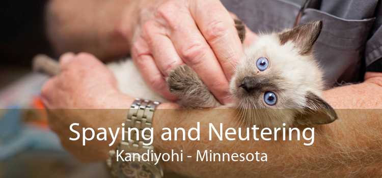 Spaying and Neutering Kandiyohi - Minnesota