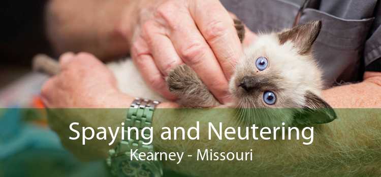 Spaying and Neutering Kearney - Missouri