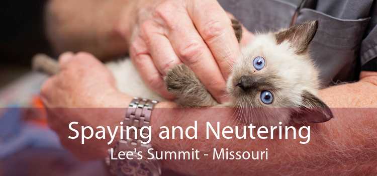 Spaying and Neutering Lee's Summit - Missouri