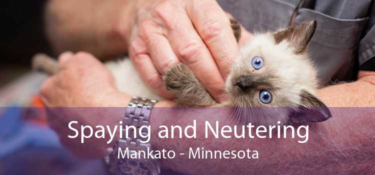 Spaying and Neutering Mankato - Minnesota