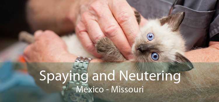 Spaying and Neutering Mexico - Missouri
