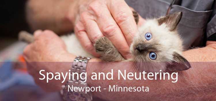 Spaying and Neutering Newport - Minnesota