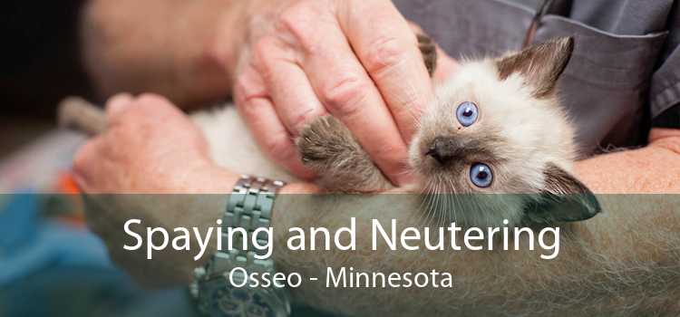 Spaying and Neutering Osseo - Minnesota