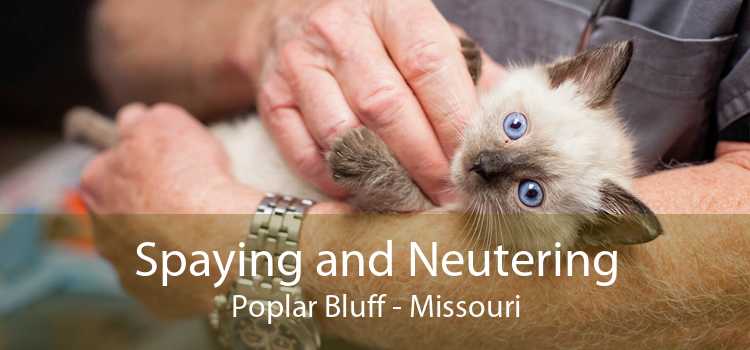 Spaying and Neutering Poplar Bluff - Missouri