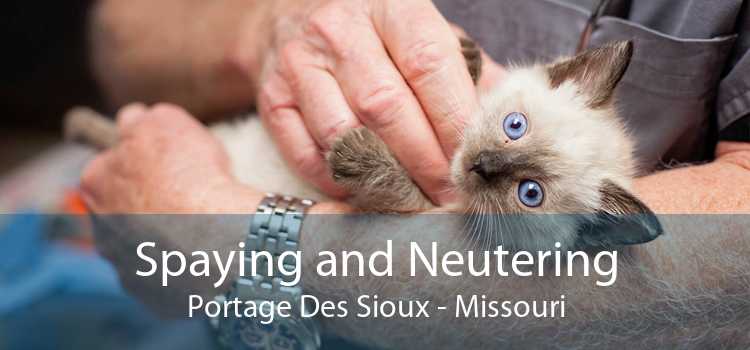 Spaying and Neutering Portage Des Sioux - Missouri
