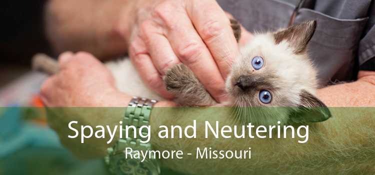 Spaying and Neutering Raymore - Missouri