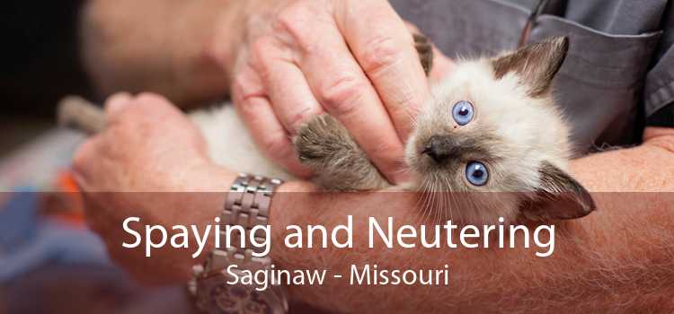 Spaying and Neutering Saginaw - Missouri