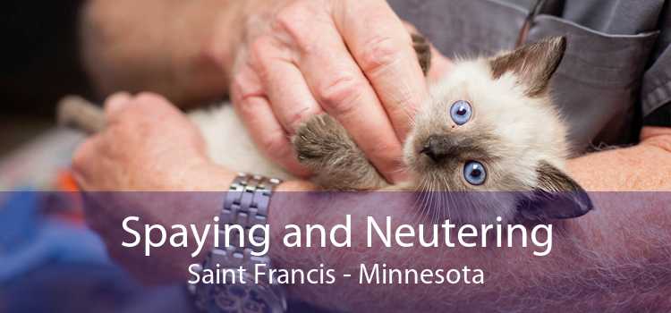 Spaying and Neutering Saint Francis - Minnesota
