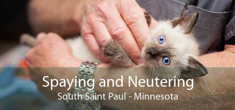 Spaying and Neutering South Saint Paul - Minnesota