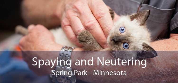 Spaying and Neutering Spring Park - Minnesota