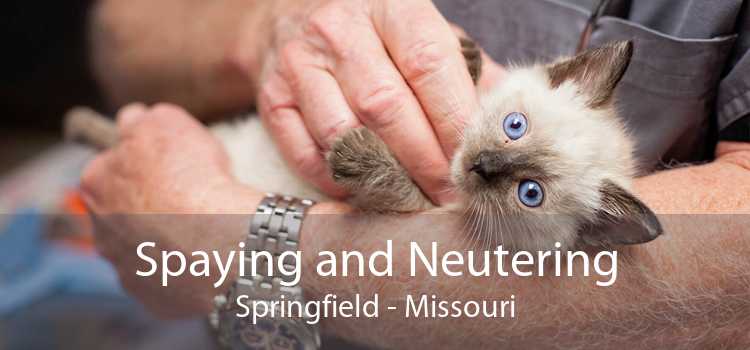 Spaying and Neutering Springfield - Missouri